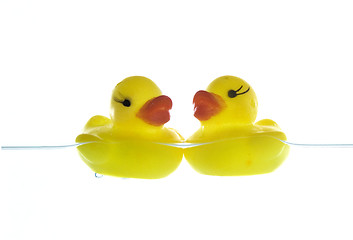 Image showing two rubber ducks