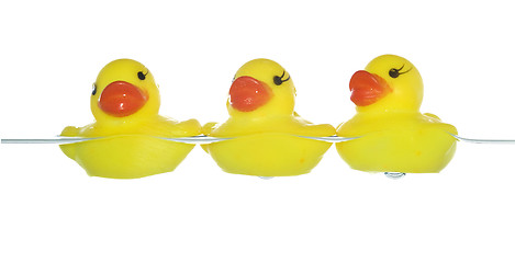 Image showing rubber ducks