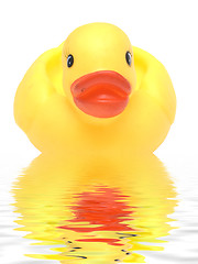 Image showing duck in water