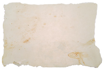 Image showing paper texture