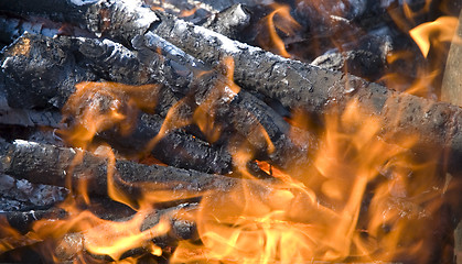 Image showing burning firewood