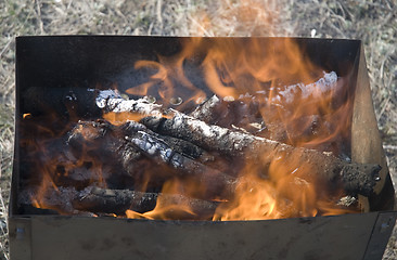 Image showing burning firewood