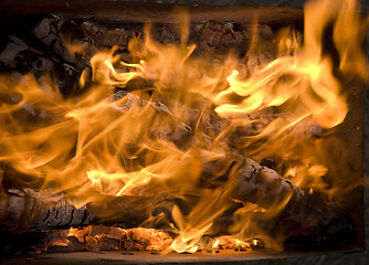 Image showing burning firewood