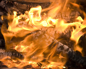 Image showing burning firewood