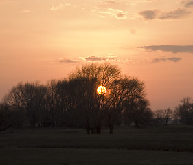 Image showing sunset