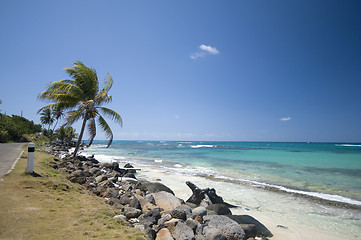 Image showing seaside malecon road sallie peachie beach corn island nicaragua