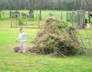 Image showing Searching for easter eggs