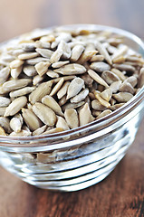 Image showing Sunflower seeds