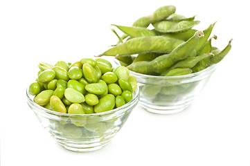 Image showing Soy beans
