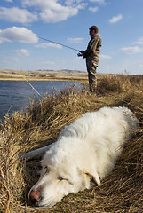 Image showing Sleeping dog