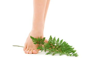 Image showing female feet with green leaf