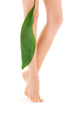 Image showing female legs with green leaf