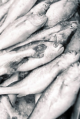 Image showing Fish mass