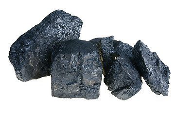 Image showing Black Polish coal