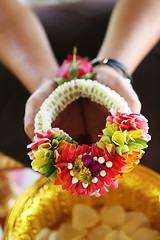 Image showing Bridal portrait