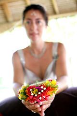 Image showing Bridal portrait