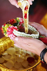 Image showing Bridal portrait