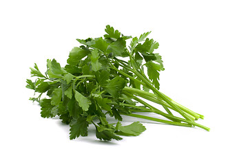 Image showing fresh parsley