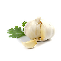 Image showing garlic with green parsley