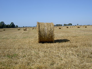 Image showing completed field