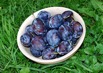 Image showing Plums over green grass