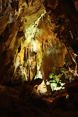 Image showing Stalagmites in stone cave