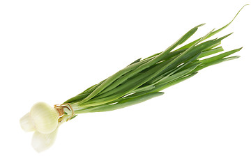 Image showing Onion with szczypiór