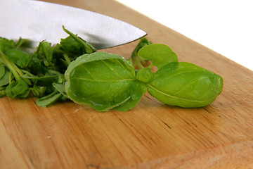 Image showing Basil preparation