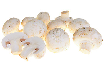 Image showing Mushroom with clipping path
