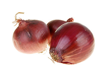 Image showing Red onion