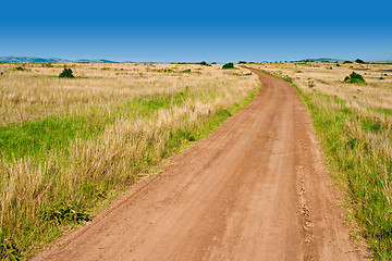 Image showing Dirt Road