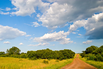 Image showing Dirt Road