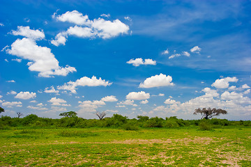 Image showing African Landscape