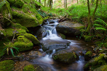 Image showing Creek