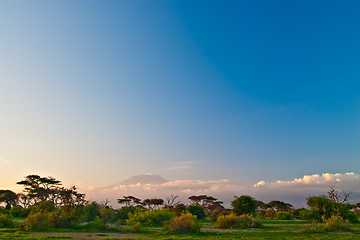 Image showing Kilimanjaro at Sunrise