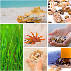 Image showing beach collection