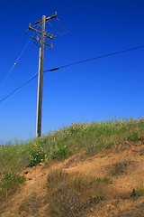 Image showing Telephone Pole
