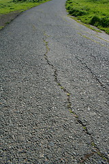 Image showing Trail In A Park