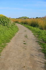 Image showing Trail In A Park