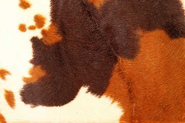 Image showing Cowhide