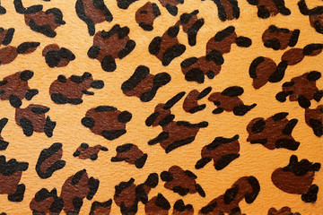 Image showing Leopard hide