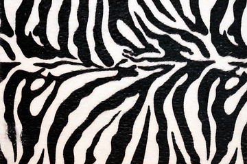 Image showing Zebra hide