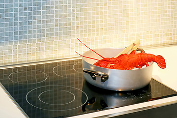 Image showing Lobster in pot