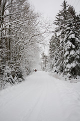 Image showing Snowy road