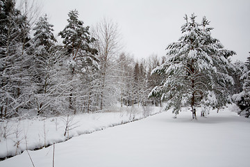 Image showing Winter landscape