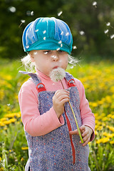 Image showing girl with dandelion