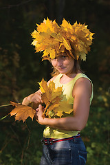 Image showing autumn maple wreath