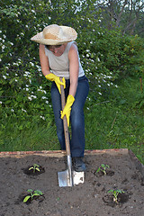 Image showing garden work