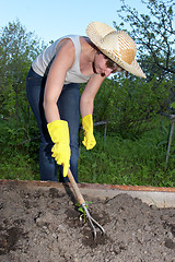 Image showing garden work