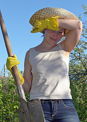 Image showing garden work